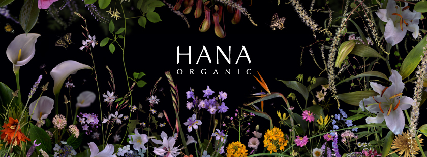 HANAオーガニックはホリスティックケアを実現する国産スキンケアブランドです。ローズと花精油、オーガニックハーブの力で自分自身が持つ肌本来の美しさに戻します。