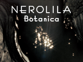 Nerilila_bl