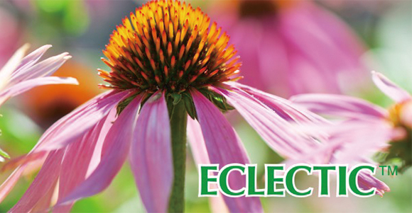 eclectic_ev01